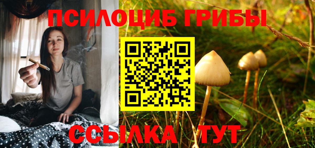 Галлюциногенные грибы мицелий  Галлюциногенные грибы MAGIC MUSHROOMS  Вход с VPN  Губаха 